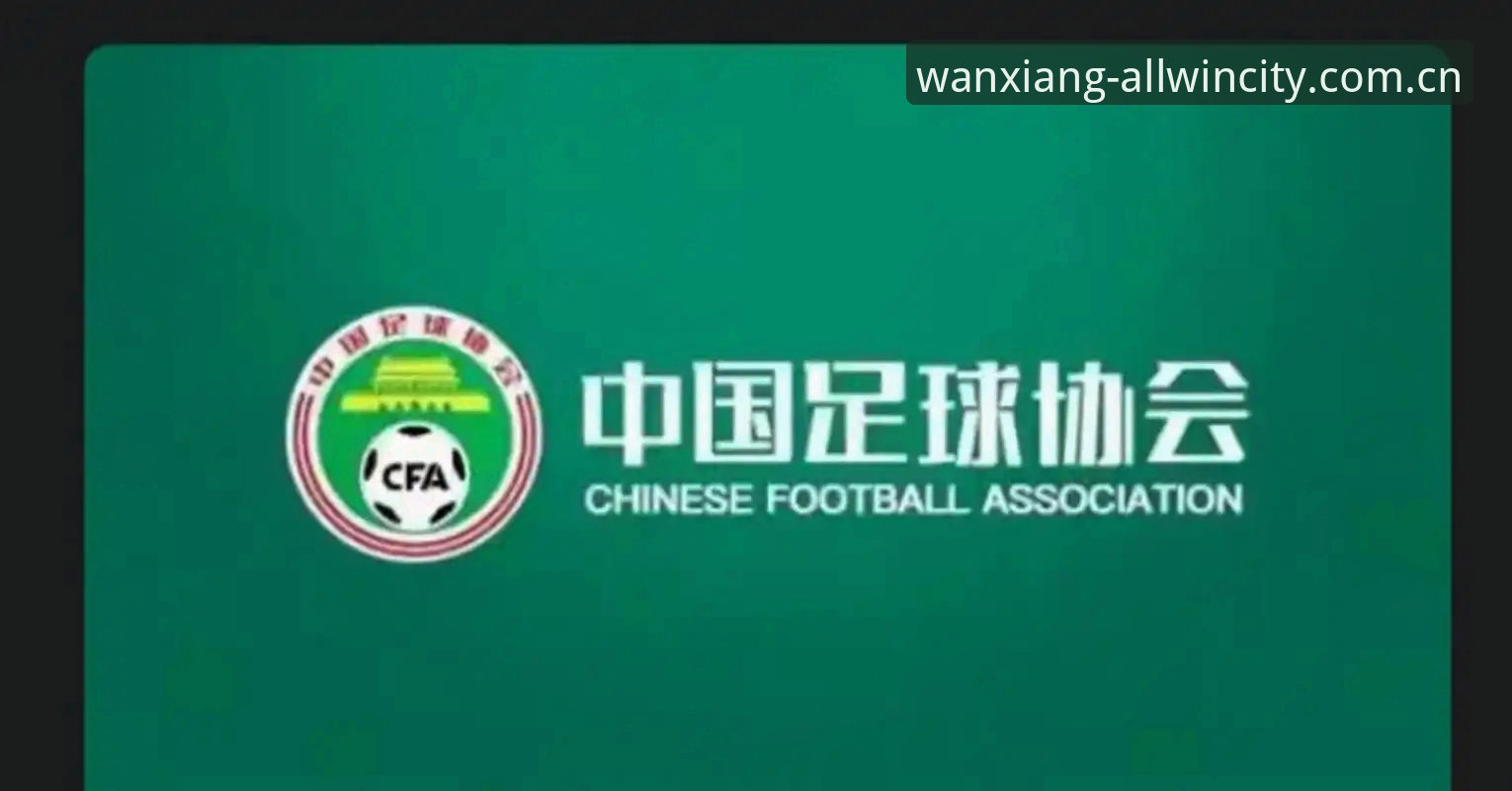 万象城体育平台iOS版 足协第三批禁足名单出炉,看懂这份处罚清单的实用指南